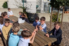 PXL_20251006_133020740